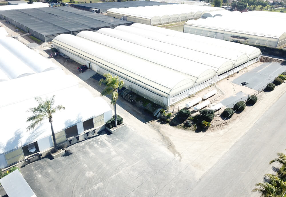 SUNLET NURSERY named as finalist for 2016 Operation of the Year