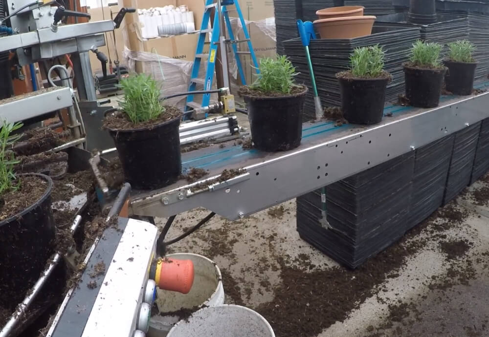 SUNLET NURSERY named as finalist for 2016 Operation of the Year