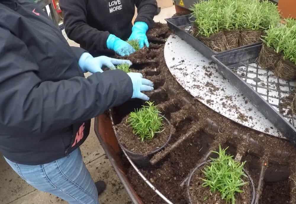 SUNLET NURSERY named as finalist for 2016 Operation of the Year