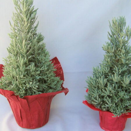 Lavender Holiday Tree